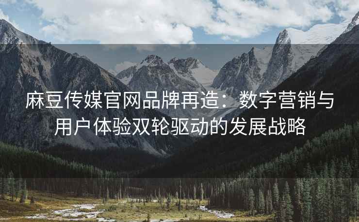 麻豆传媒官网品牌再造：数字营销与用户体验双轮驱动的发展战略