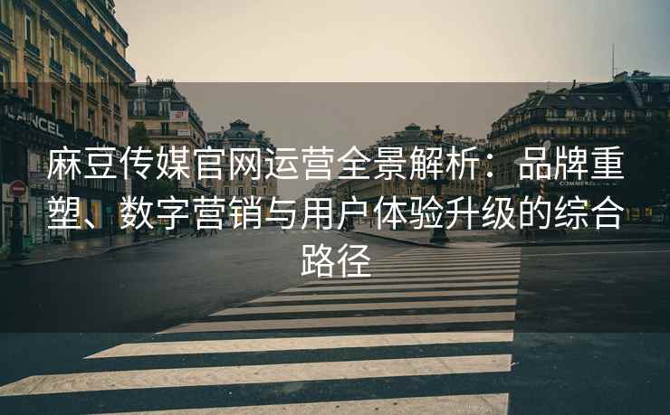 麻豆传媒官网运营全景解析：品牌重塑、数字营销与用户体验升级的综合路径