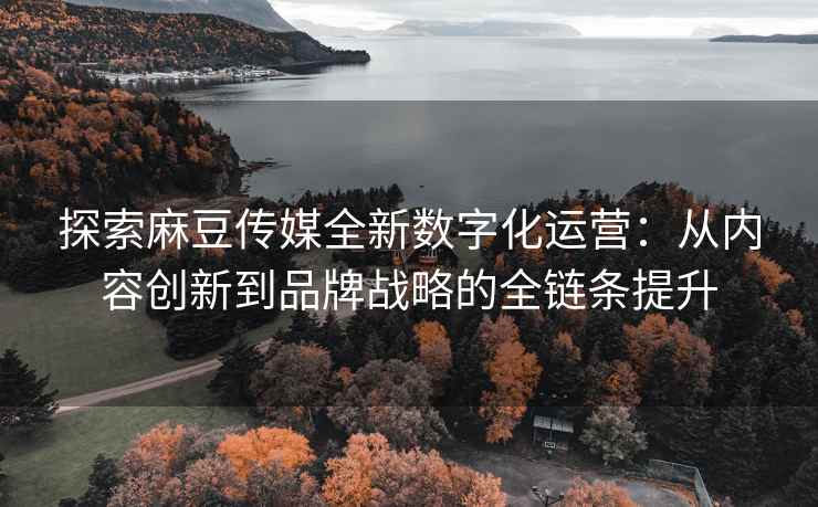 探索麻豆传媒全新数字化运营：从内容创新到品牌战略的全链条提升