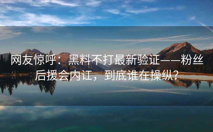 网友惊呼：黑料不打最新验证——粉丝后援会内讧，到底谁在操纵？