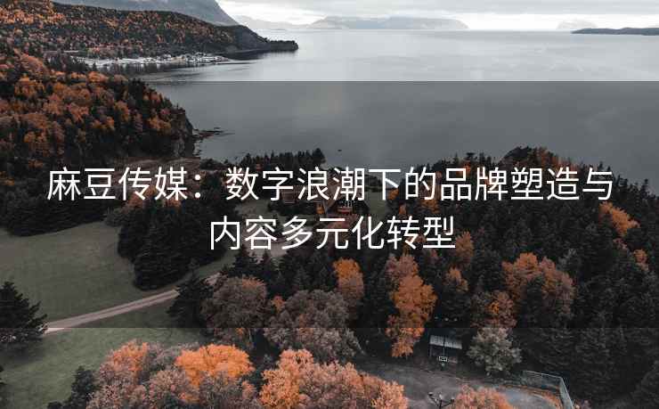 麻豆传媒：数字浪潮下的品牌塑造与内容多元化转型